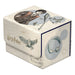 CAJA SIDEWINDER 100+ XENOSKIN HARRY POTTER - HARRY POTTER