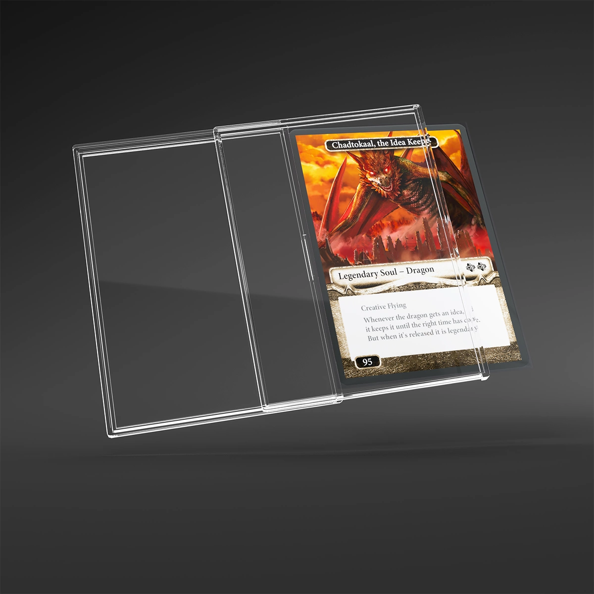 SLIDE CARD CASES (12)