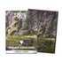 LANDFALL SERIES VERDANT CATACOMBS ART SLEEVES  - FUNDAS DRAGON SHIELD - 100PC