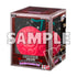 DEVIL FRUIT VOL.03 ONE PIECE TCG (INGLÉS)