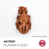 AK17057 - HUMAN FLESH - CARNE HUMANA – COLOR QUICK GEN