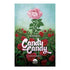 CANDY CANDY. LA HISTORIA DEFINITIVA