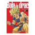 BOLA DE DRAC DEFINITIVA 22 (DE 34)