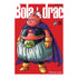 BOLA DE DRAC DEFINITIVA 31 (DE 34)