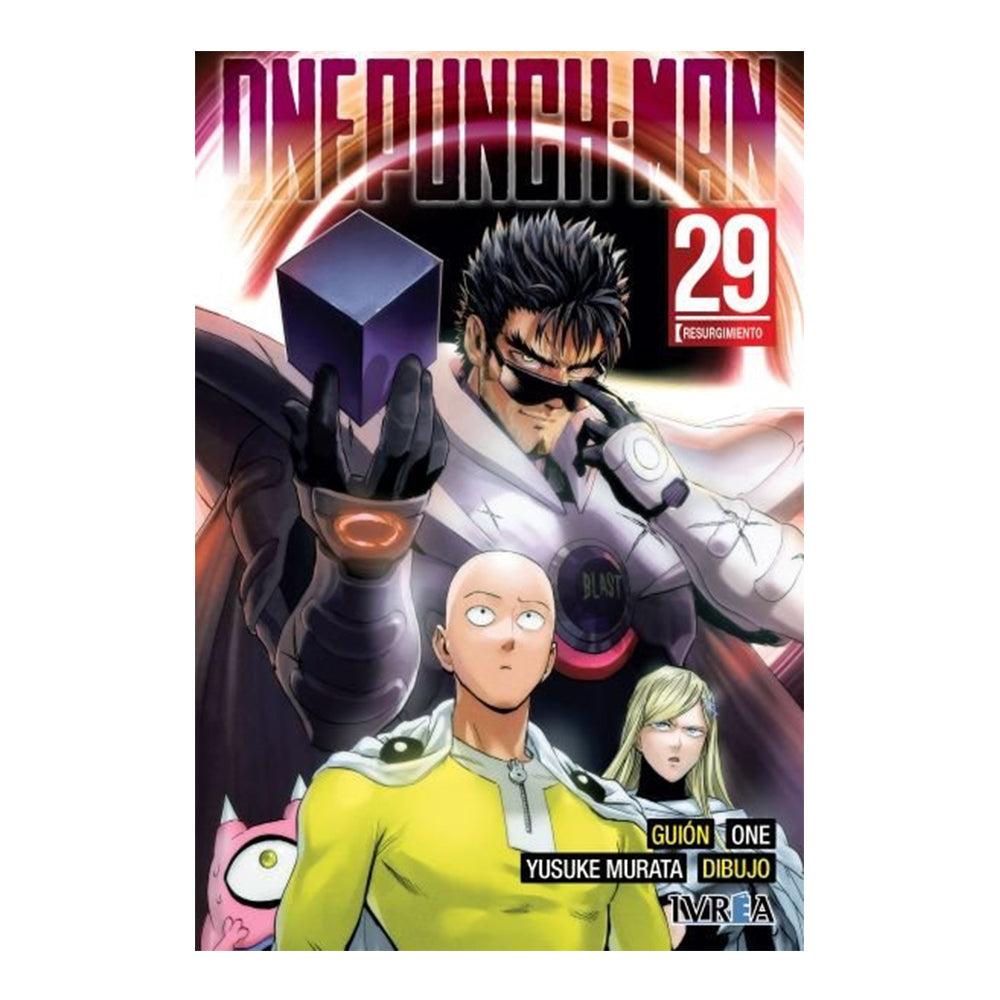 ONE PUNCH-MAN 29