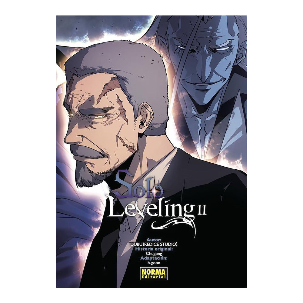 SOLO LEVELING 11