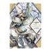 ATELIER OF WITCH HAT 03