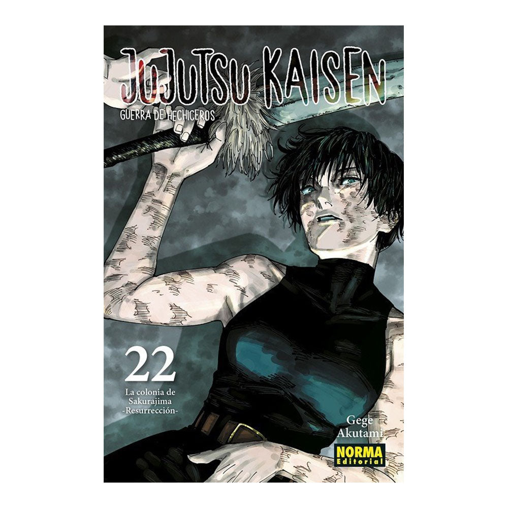 JUJUTSU KAISEN 22