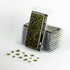 LASER PLANTS: DUMB CANE