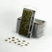 LASER PLANTS: DUMB CANE