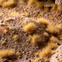 BEIGE 6MM WILD (BLISTER)
