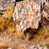 SPIKEY BEIGE WILD 12MM