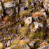 TINY TUFTS DRY GREEN