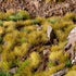 GREEN MEADOW SET WILD