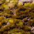 SWAMP 4MM WILD