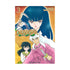 INUYASHA 03 (DE 30)