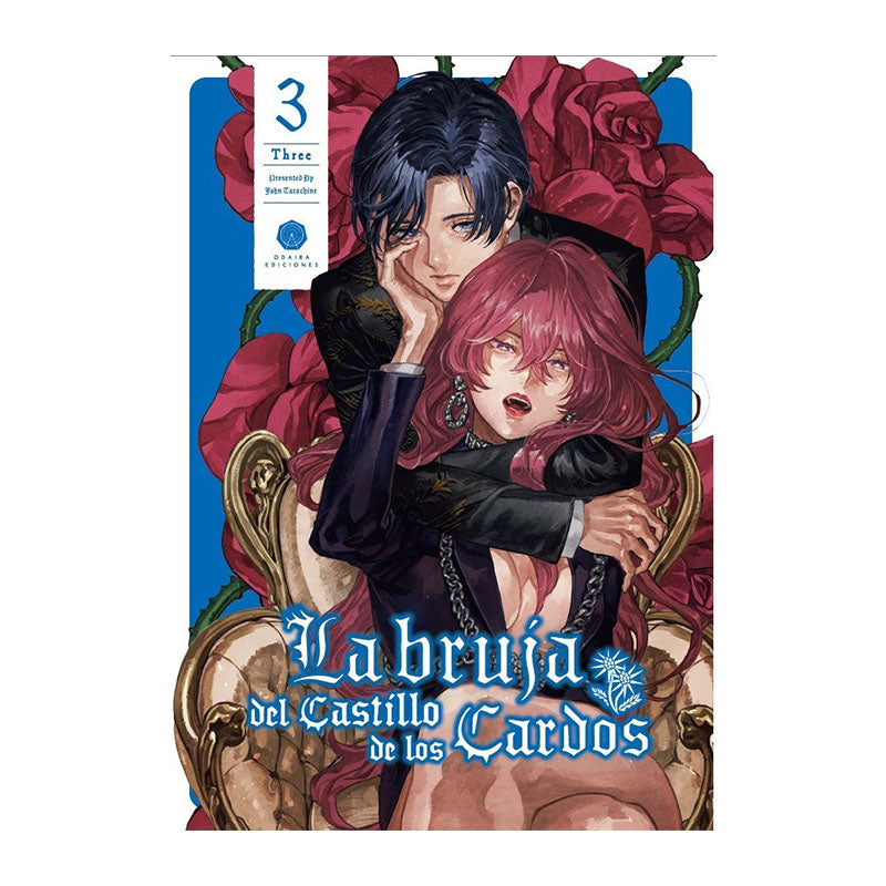 LA BRUJA DEL CASTILLO DE LOS CARDOS 03