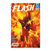 ABSOLUTE FLASH 01