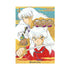 INUYASHA 04 (DE 30)