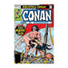 BIBLIOTECA CONAN. CONAN EL BARBARO 17