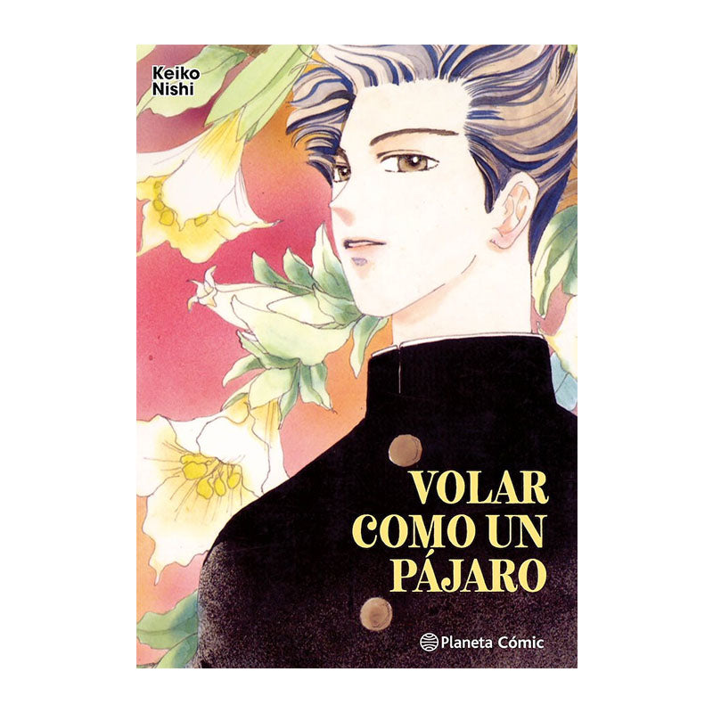 VOLAR COMO UN PÁJARO