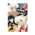 INUYASHA 15 (DE 30)