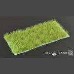 GRASS TUFT - LIGHT GREEN XL 12MM WILD | 738956788047