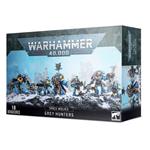 SPACE WOLVES: GREY HUNTERS (CAZADORES GRISES) | 5011921149179
